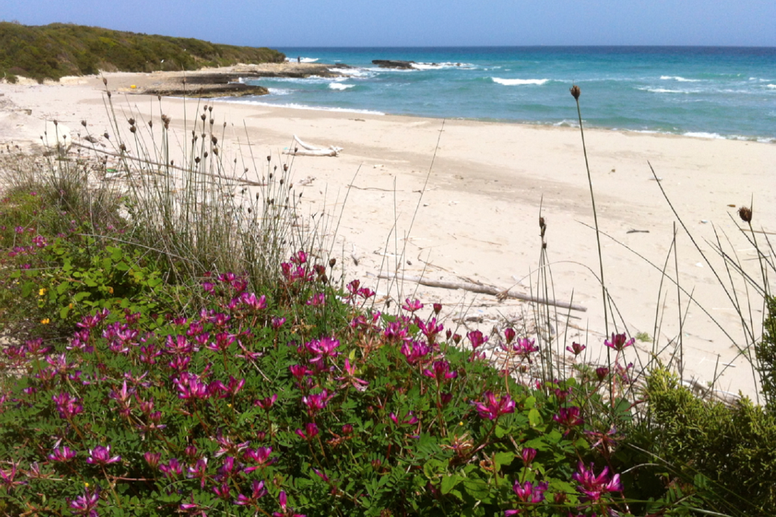 Camping Agriturismo Fontanelle 4