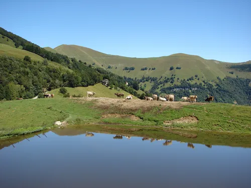 Camping ai Colli Fioriti 6