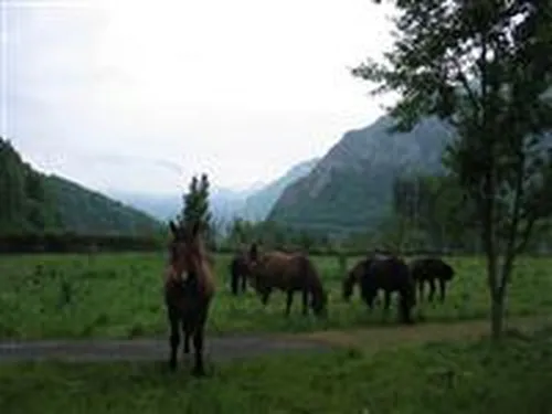 Camping aire naturelle de Balesta Jacques 3