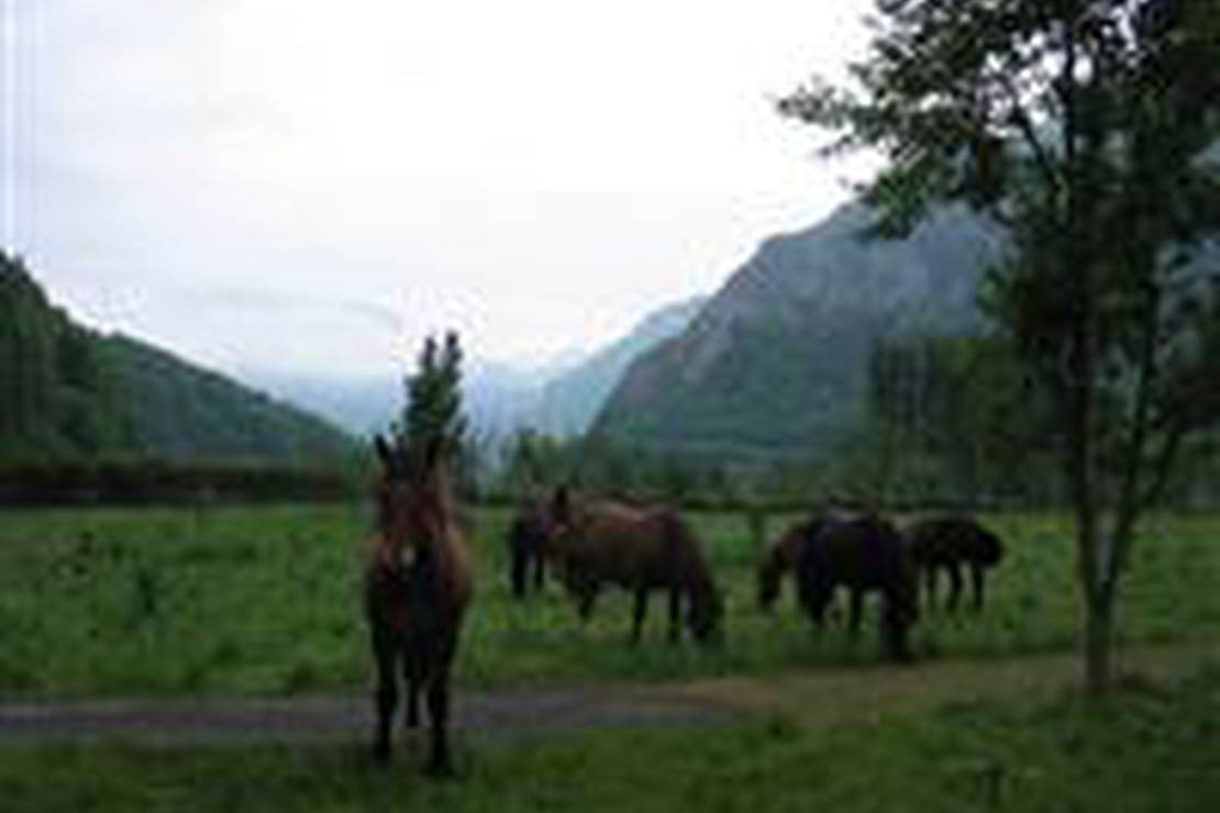 Camping aire naturelle de Balesta Jacques 4