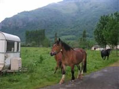 Camping aire naturelle de Balesta Jacques 5