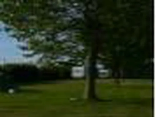 Camping aire naturelle de Carfantan Odile 4