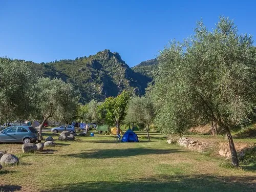 Camping aire naturelle de U Sognu 8
