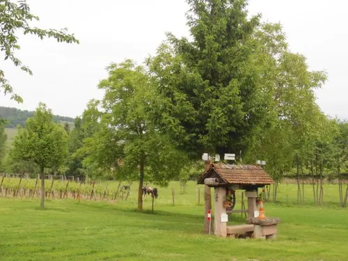 Camping aire naturelle Du Tempelhof 3