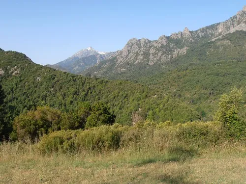 camping aire naturelle la ferme de Peridundellu 5