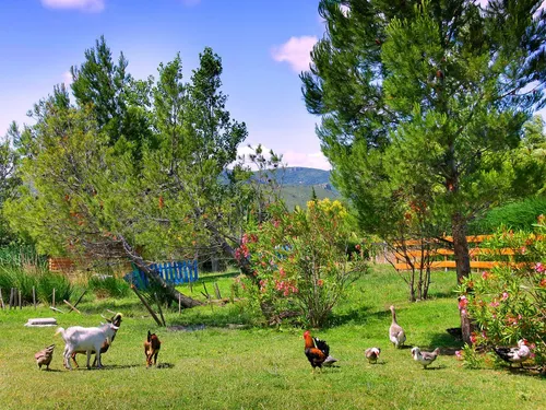 Camping Aire Naturelle La Peiriere 5