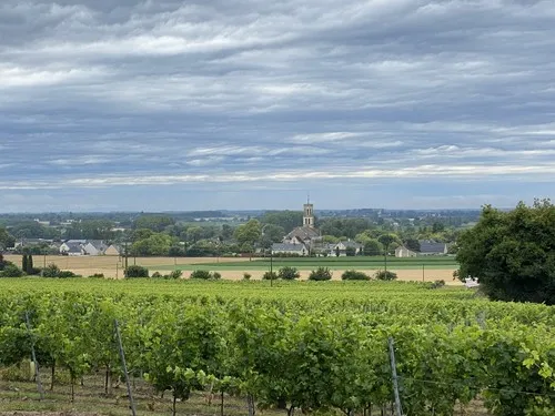 Camping aire naturelle Le Bois Madame 5