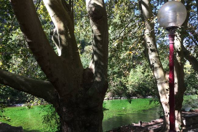 la Sorgue