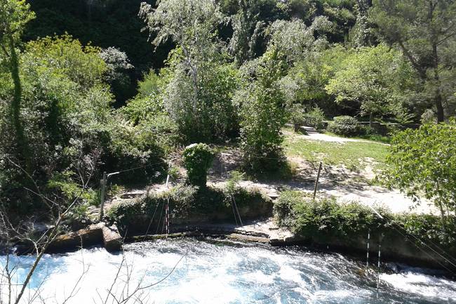Quelle der Sorgue