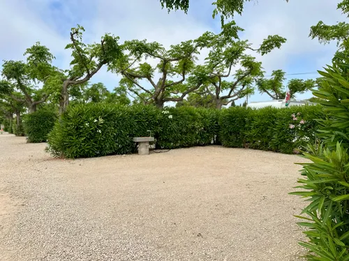 Camping Alegría Del Mar 3