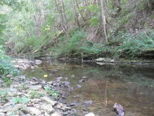 Camping Alte Mühle 5