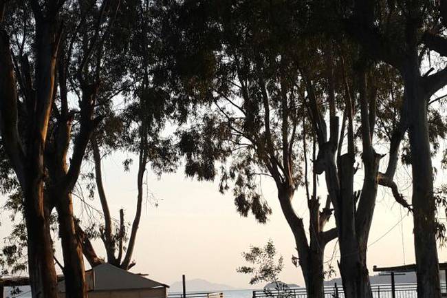 Camping Altinkum image 0