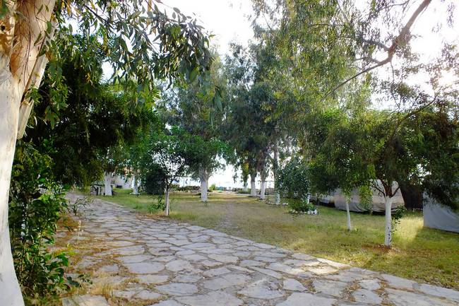 Camping Altinkum image 1