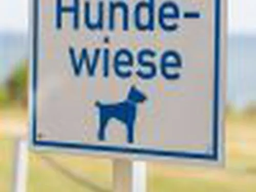 Camping am Hohen Ufer 6