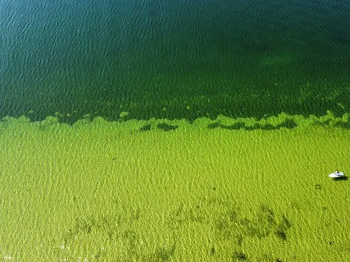 Camping Ambach am See 3