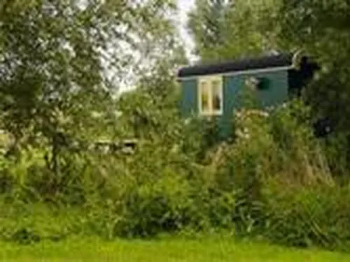 Camping Amstelkade 3