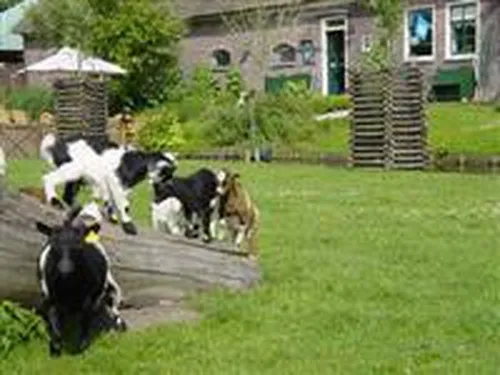 Camping Amstelkade 5