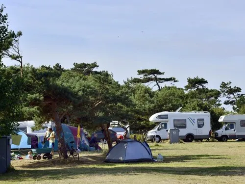 Camping an den Stranddünen 6