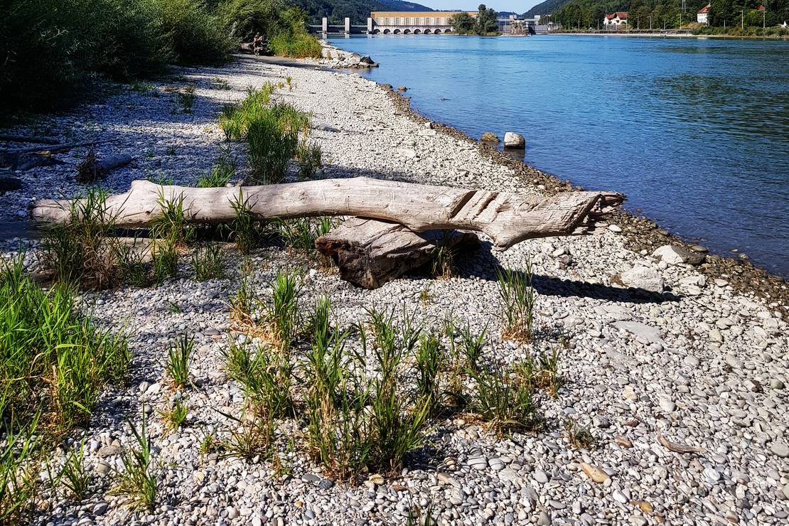 Camping an der Donau 5