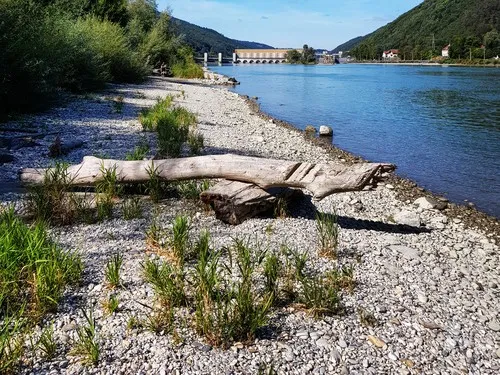 Camping an der Donau 4