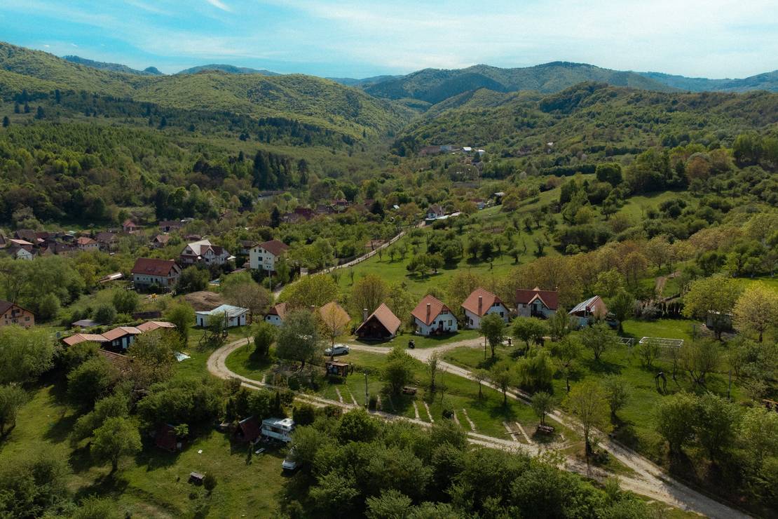 Are dogs allowed at the campsite Camping Ananas Sibiu?