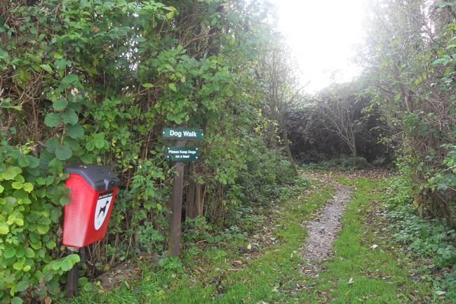 Camping and Caravanning Club Site Cambridge image 10