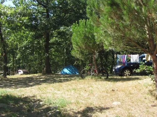 Camping Atlantique-foret 6