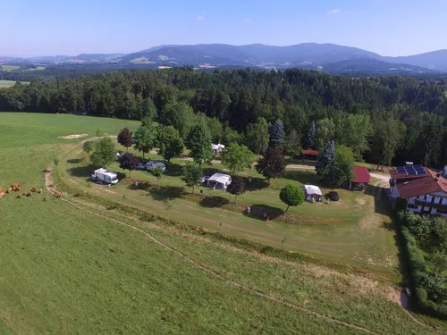 Camping auf dem Kapfelberg 5