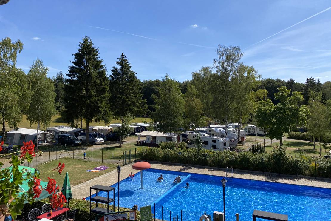 Are dogs allowed at the campsite Camping Auf Kengert?