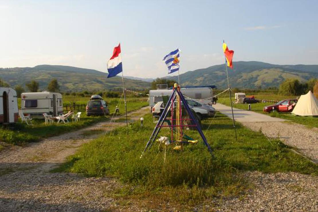 Are dogs allowed at the campsite Camping Aurel Vlaicu?