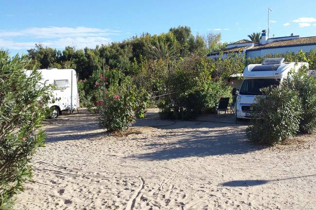 Stellplätze 20 m vom Strand entfernt
