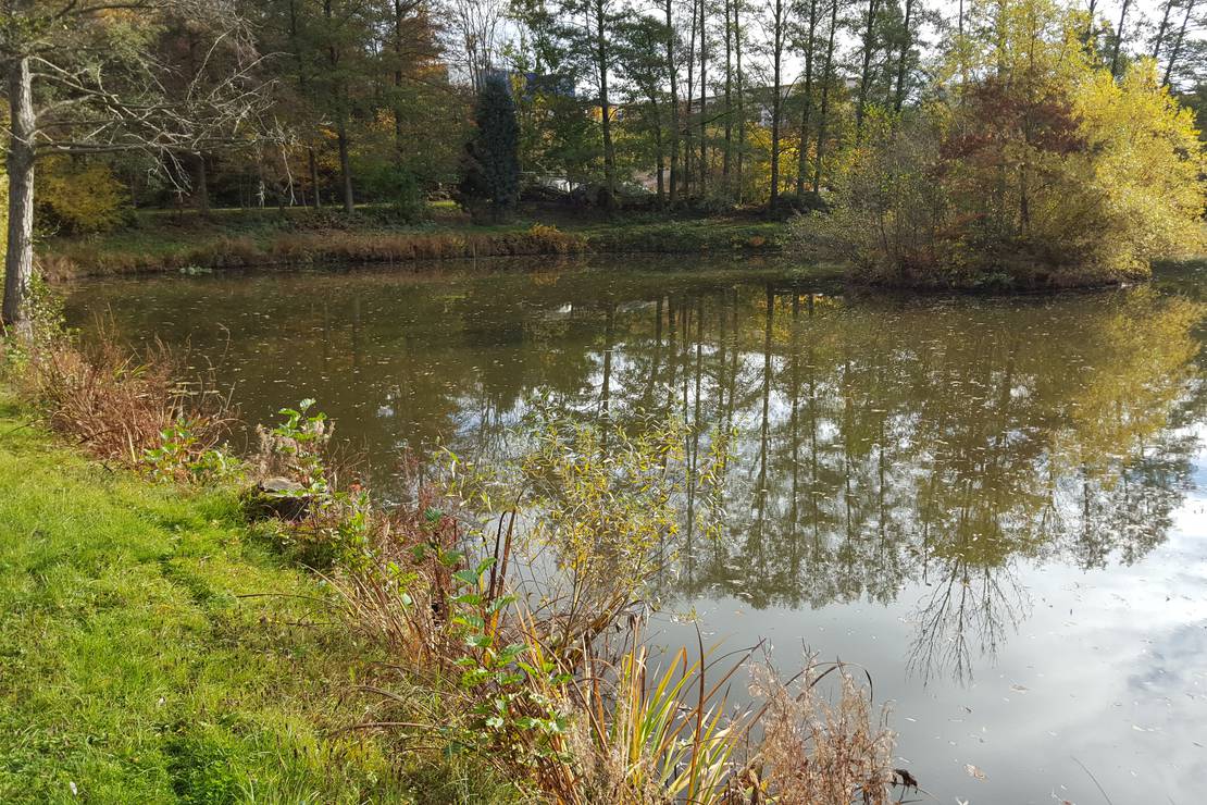 Camping Barbarossa 3