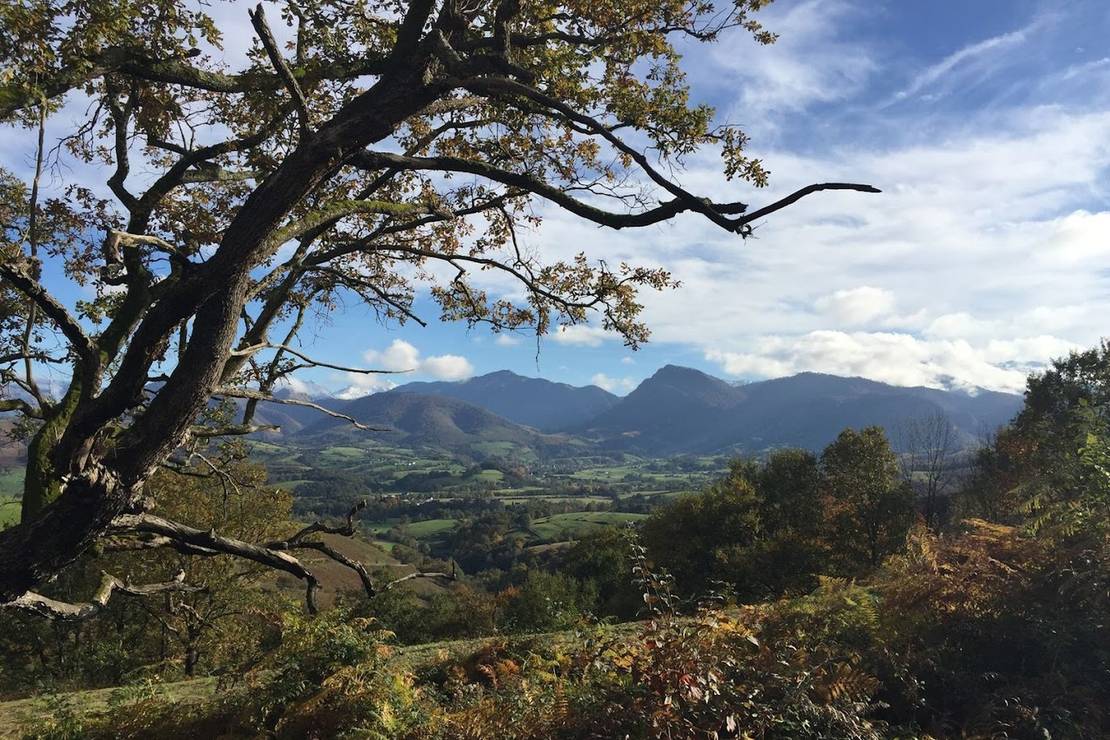 Camping Barétous Pyrénées 4