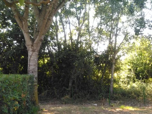 Camping Beau Sejour 6