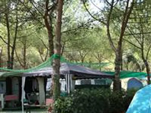 Camping Belvedere 5