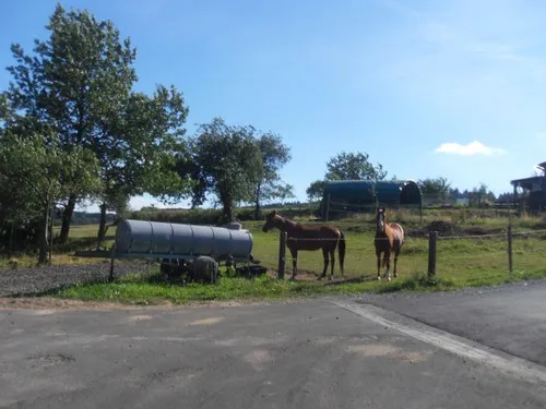 Camping Birkenhain 6