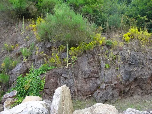 Camping Bockenauer Schweiz 3