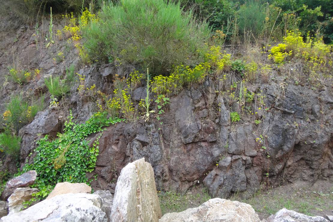 Camping Bockenauer Schweiz 4