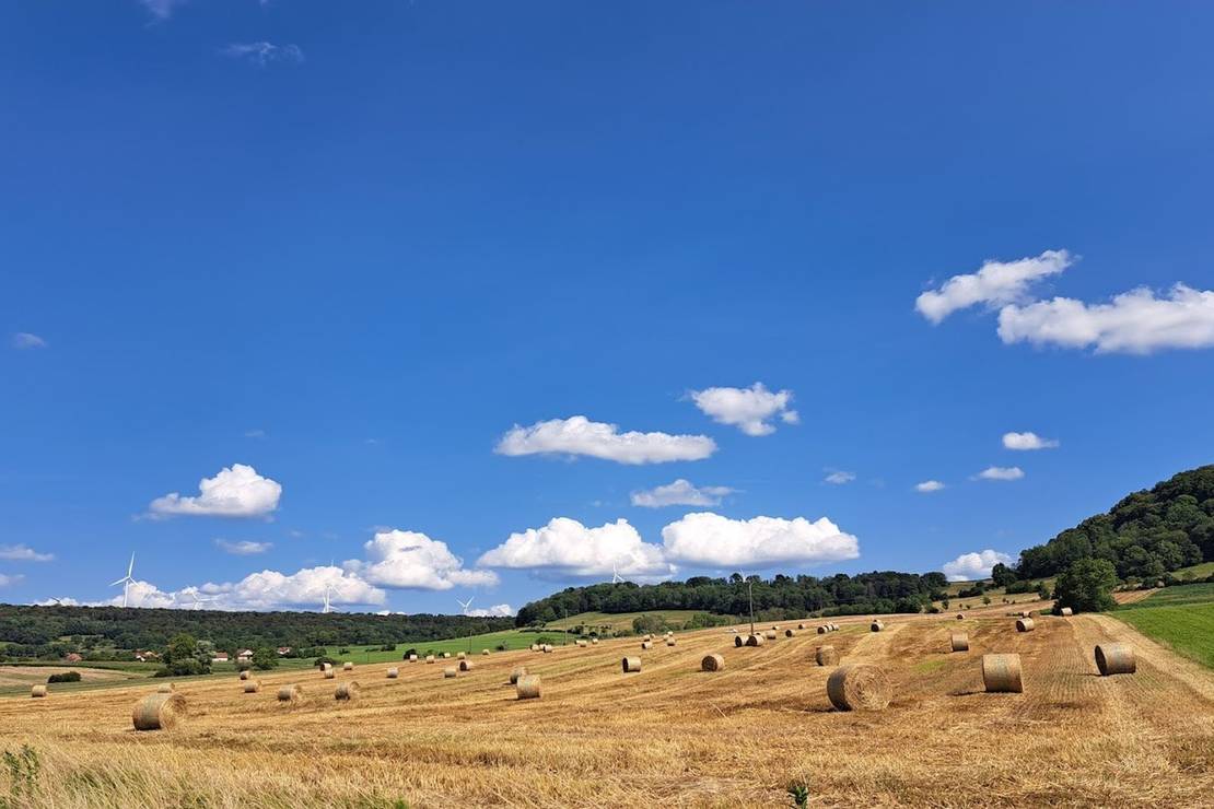 Camping Bois de Reveuge 4