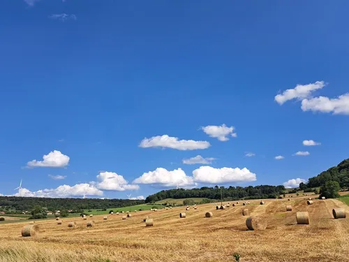 Camping Bois de Reveuge 3