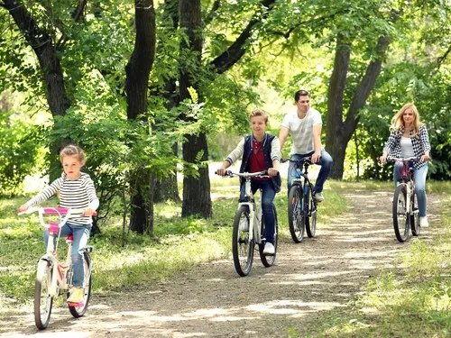 Camping Borken am See 5