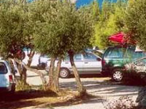 Camping Brajdi na Moru 2