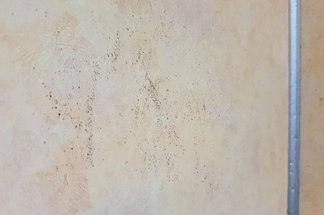Massiver Scjhimmel in der Dusche