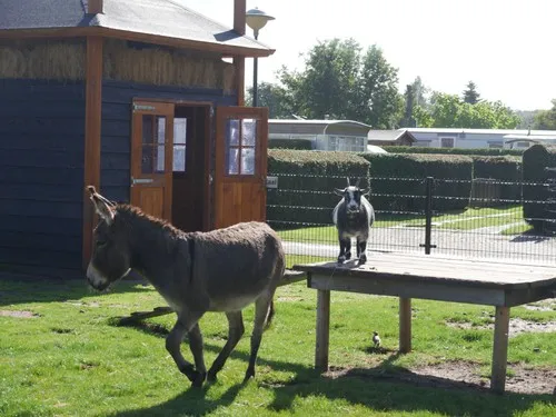 Camping & Bungalowpark de Horsterhoeve 5