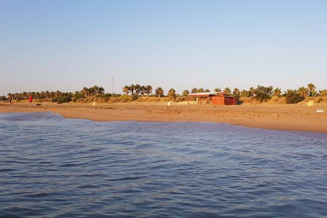 Beachbar