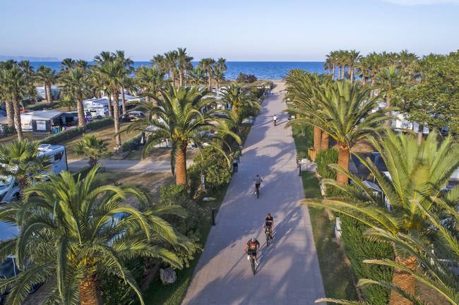 Las Dunas Palm-lined paths