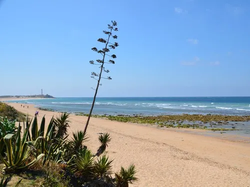 Camping & Bungalows Caños de Meca 3