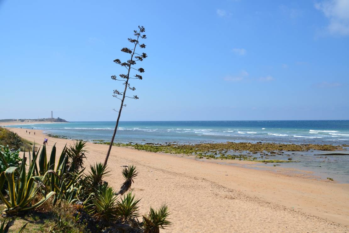 Camping & Bungalows Caños de Meca 4