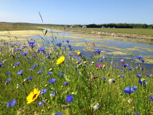 Camping Callassande 6