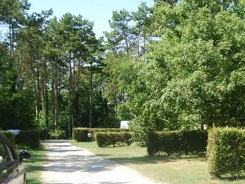 Camping Caravaning Bois de la Justice 5